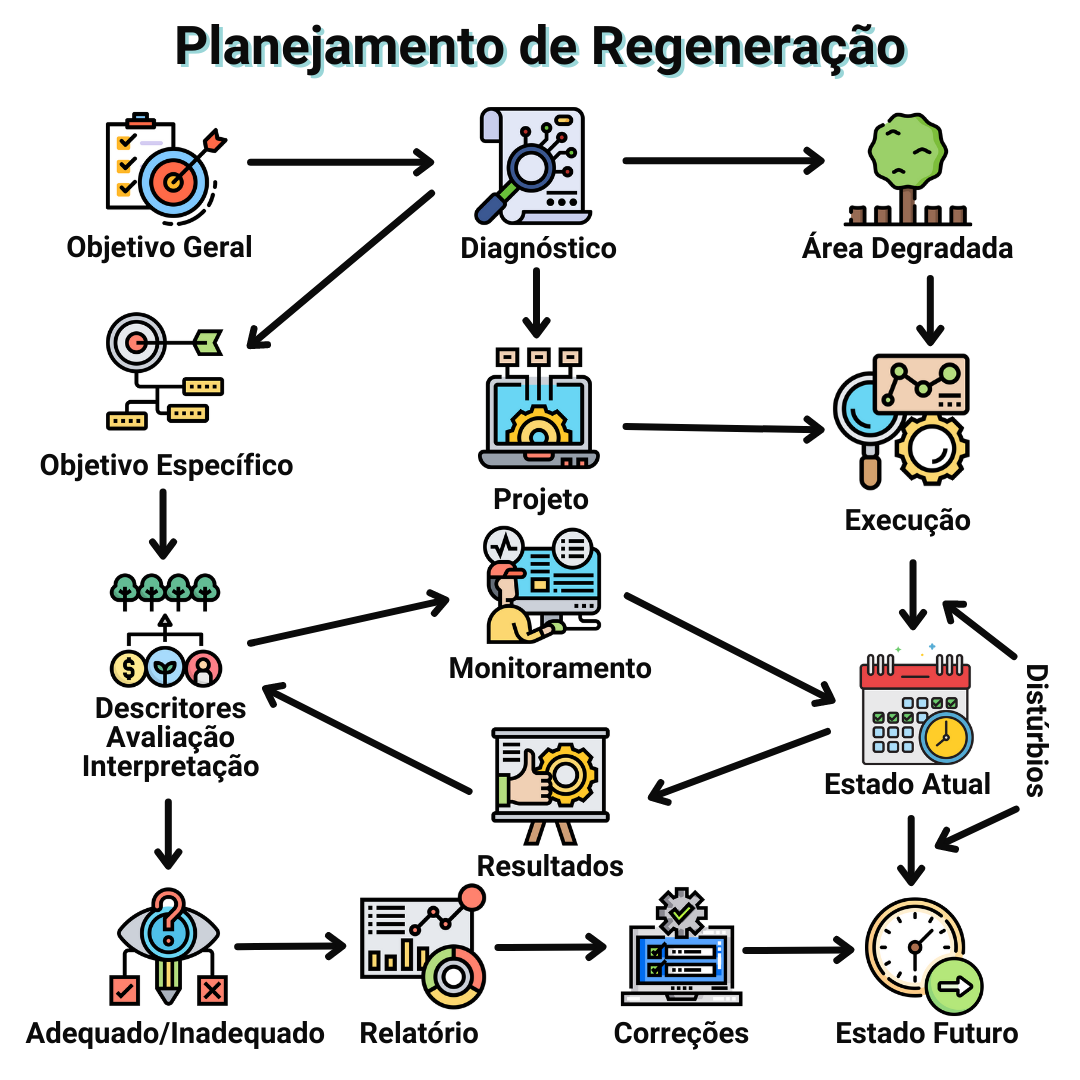 Infográfico reprsentando o planejamento de regeneração